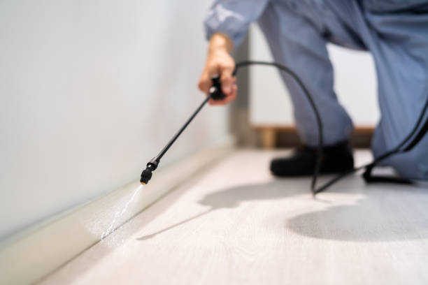 Licensed Pest Control service in Nephi, UT - Show Me Pest Control