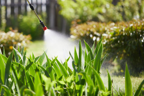 24/7 Emergency Mosquito Control experts in Nephi, UT