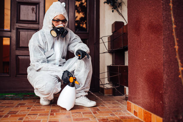 Reliable Mosquito Control contractor in Nephi, UT by Show Me Pest Control